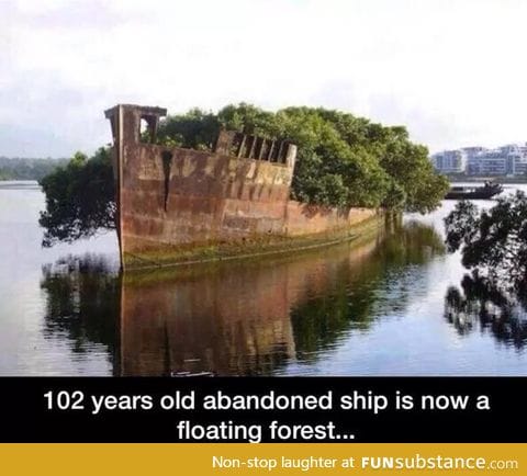 A mini island made from a 102 years old abandoned ship