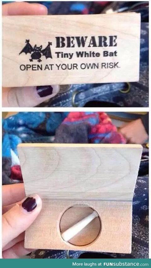 Tiny white bat - Open at your own risk