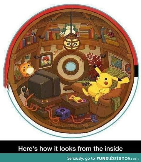 What does it look like in a Pokeball