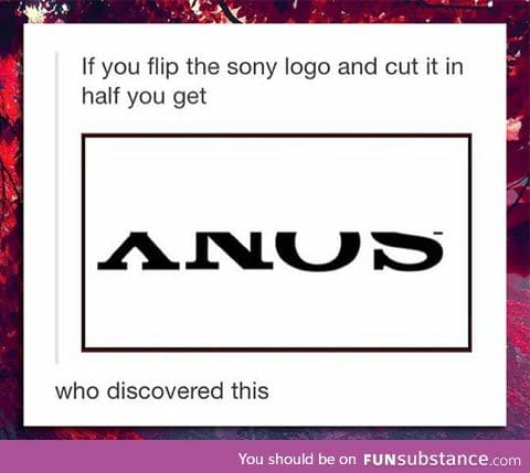 Funny Sony logo fact