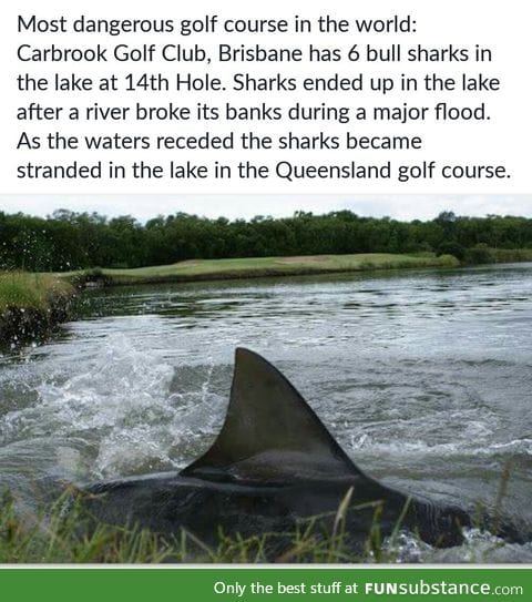 Australia takes Golf to a new level