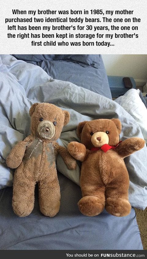 Two teddy bears, 30 years later