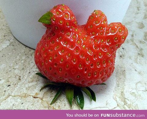 Chicken-shaped strawberry