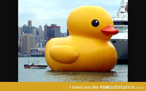 Don't search big duck into google