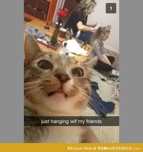 Snapcat