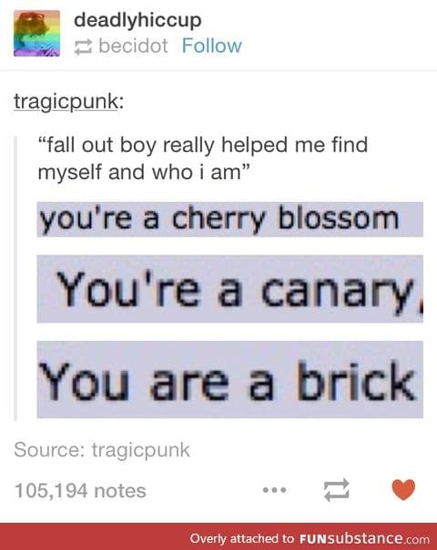 You are a brick