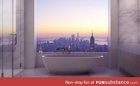 A tub in New York with an amazing view