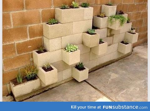 I guess you could say it's a...cinder block garden