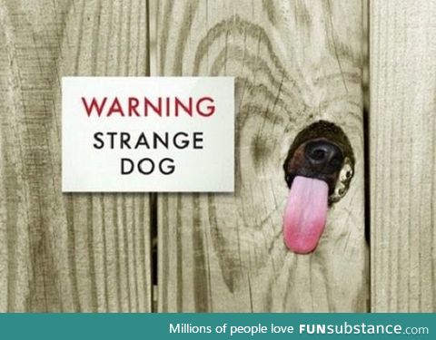 Warning..!! Strange dog