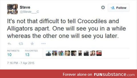 Crocodiles & alligators