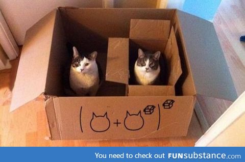 Cat math