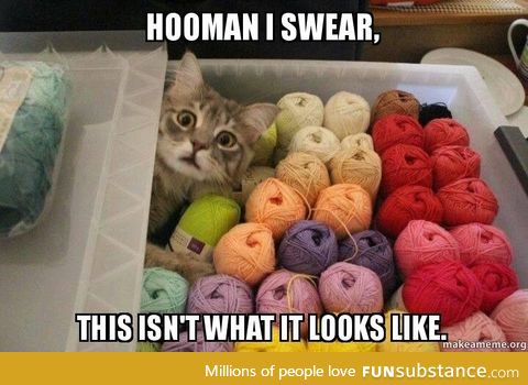 Someone has a yarn addiction