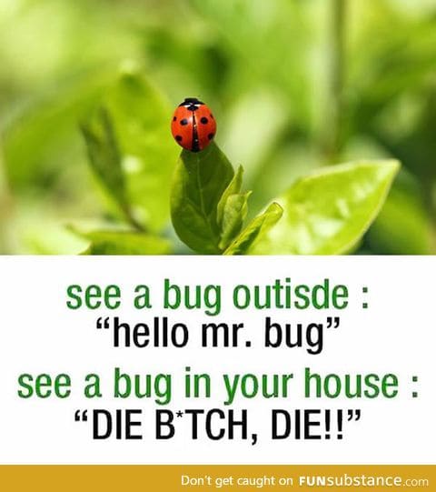 Whenever I see a bug at home