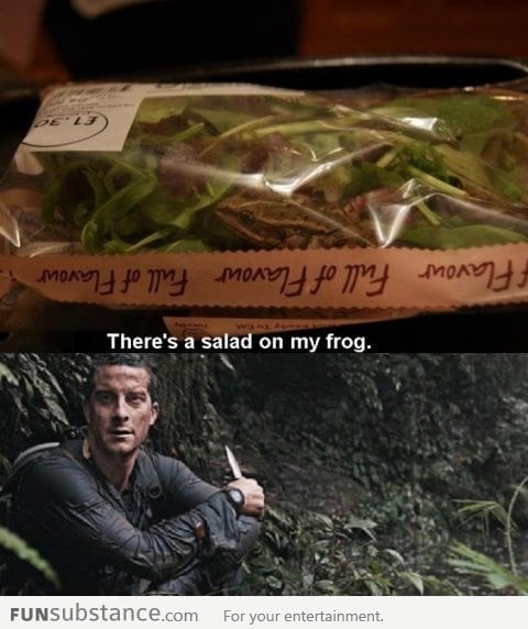 There's salad on my frog