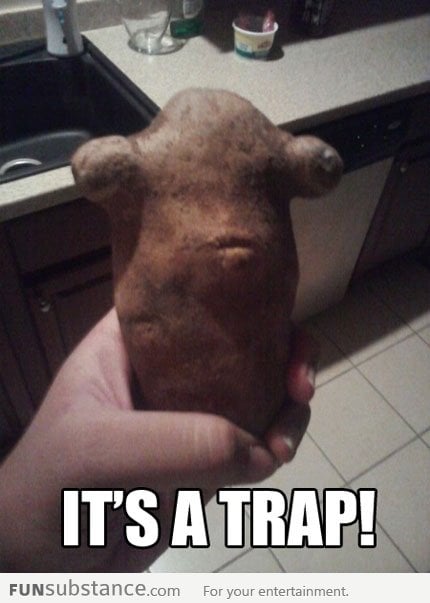 Admiral Potato