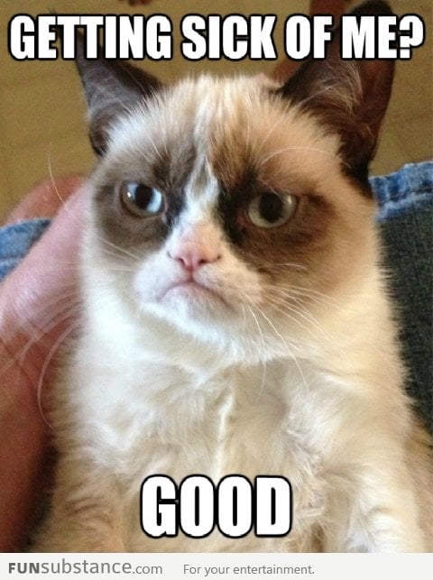 Grumpy Cat doesn't care!