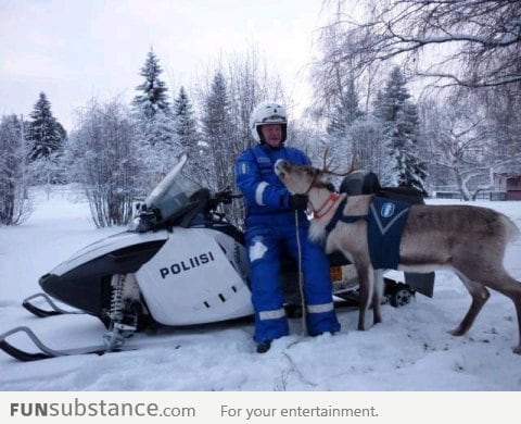 Policeman with his police reindeer in Finland