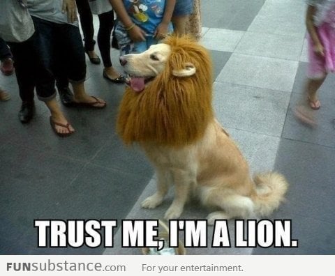 Trust me, I'm a lion