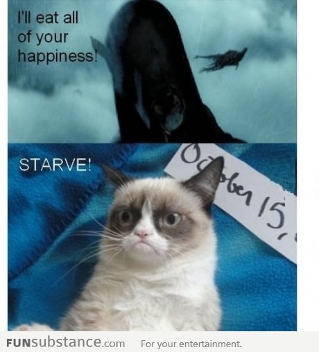 grumpy cat