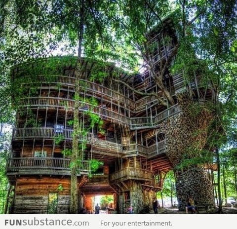 Tree House In Tennessee