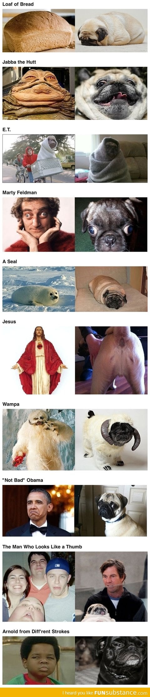 Pugs that look like things