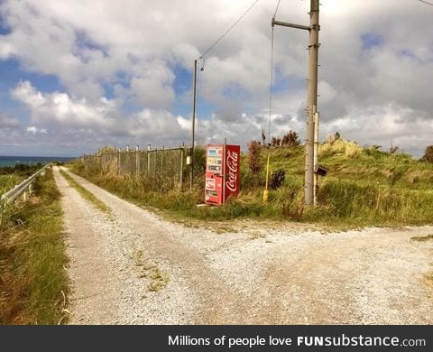 This vending machine in the middle of nowhere Okinawa, Japan