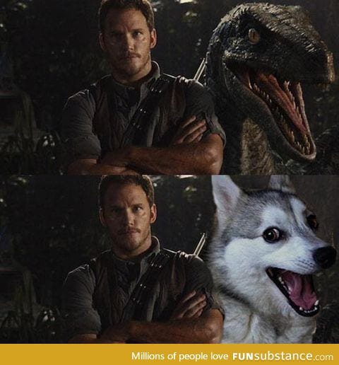 Jurassic bark