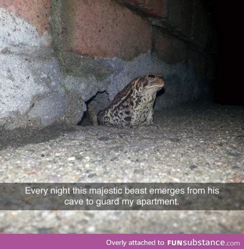 Guard toad