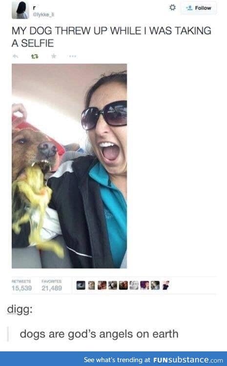Dog puking selfie