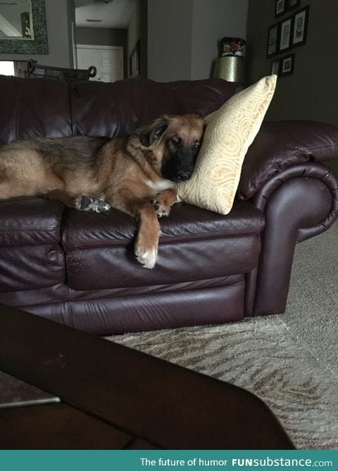 He will carry a pillow to the couch just to put his head on it