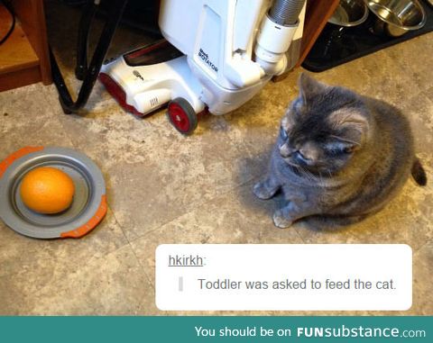 This is what you get when a toddler tries to feed a cat