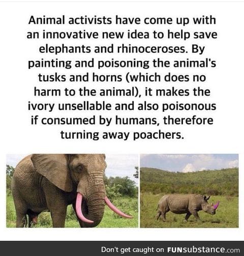 How to stop elephant and rhino poachers