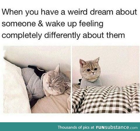 Having a weird dream about someone