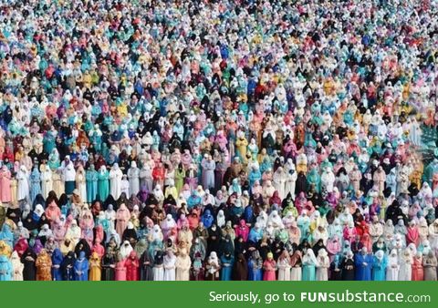 Women praying in Morocco. It looks like a painting