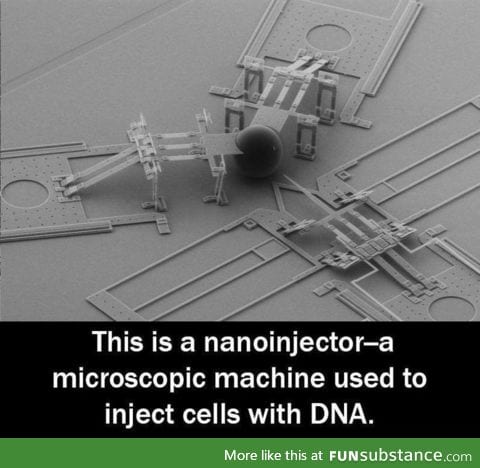 A nanoinjector