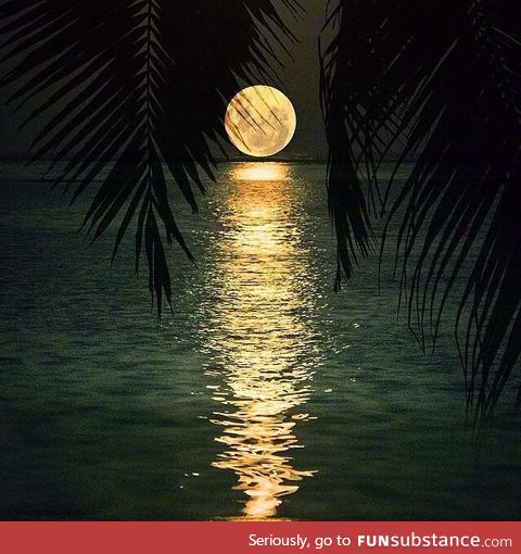 Mesmerising view of moon in Maldives