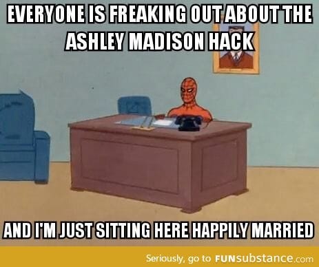 My view of the Ashley Madison hack