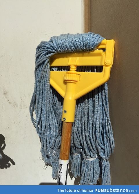 This mop looks like Skrillex