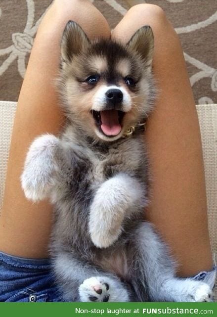 Tummy tickles is happiness