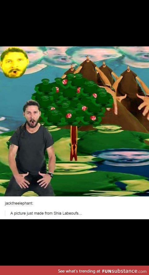 In case you need a little bit of Shia labeouf