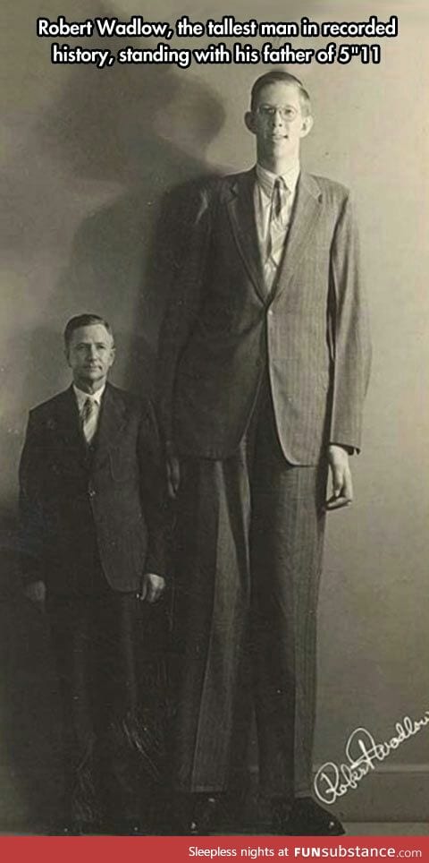 The tallest man ever