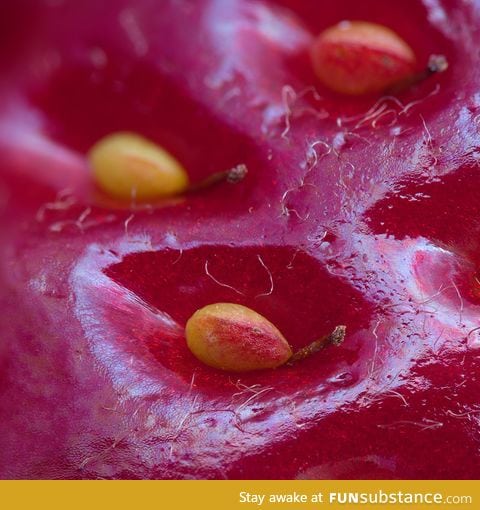 Super closeup of a strawberry