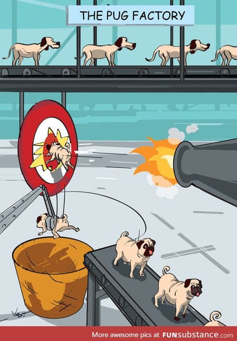 How they make pugs