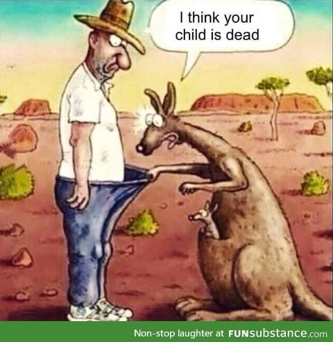 Sad kangaroo