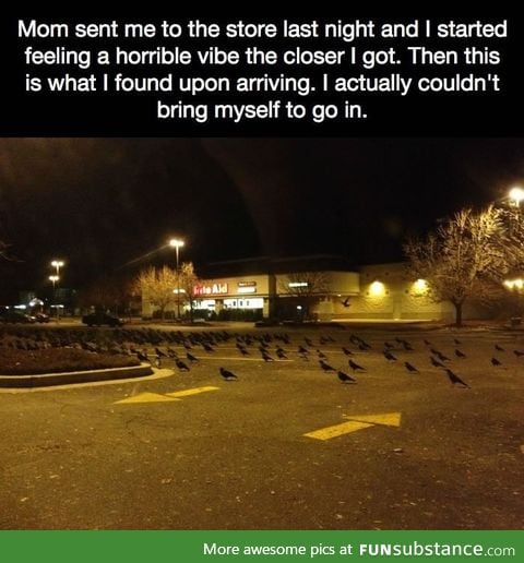 Why are the birds doing this?