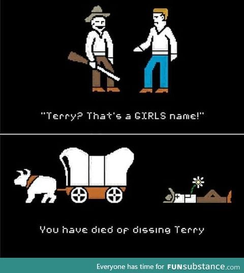 Dissing terry