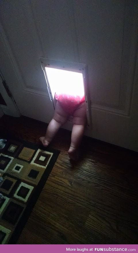 Little girl just discovered the doggy door
