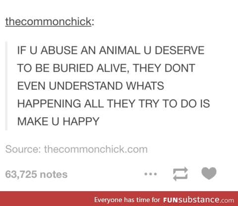 Don't ever ever ever abuse animals