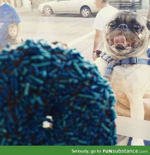 Local donut shop just posted this photo