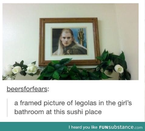 I'd Go To The Bathroom Every 5 Minutes Just To Stare At It